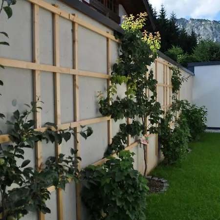 Haus Am Walde *